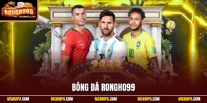 Bóng đá Rongho99