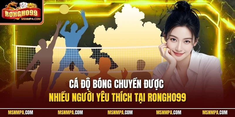 Cá độ bóng chuyền được nhiều người yêu thích tại Rongho99
