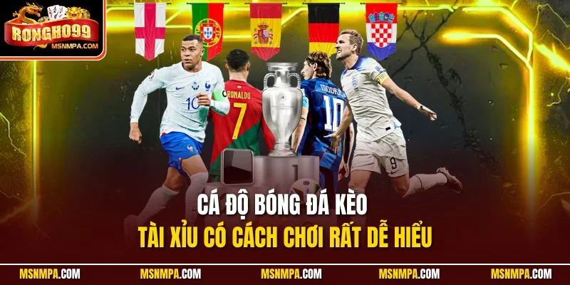 Cá độ bóng đá kèo tài xỉu có cách chơi rất dễ hiểu