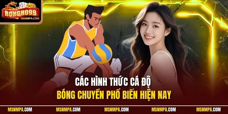 Các hình thức cá độ bóng chuyền phổ biến hiện nay