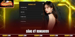 đăng ký Rongho99