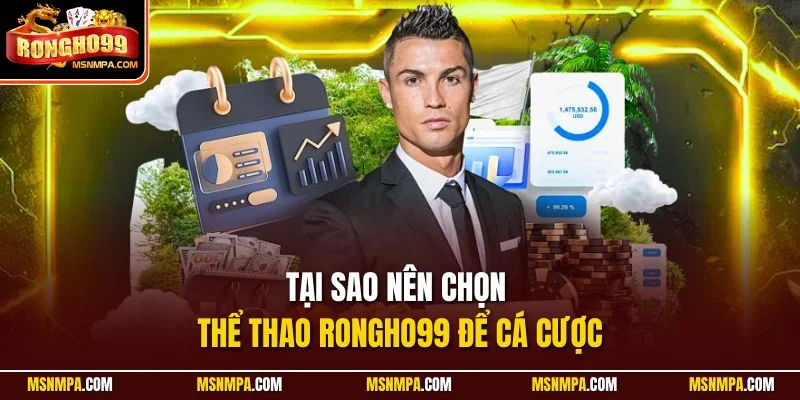 Tại sao nên chọn thể thao Rongho99 để cá cược
