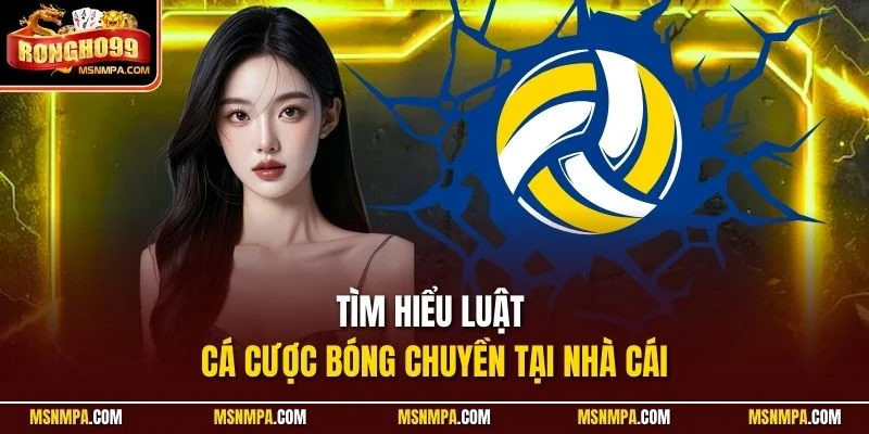 Tìm hiểu luật cá cược bóng chuyền tại nhà cái